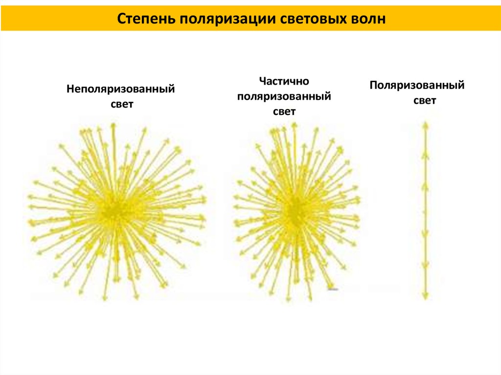 Соответствует частично. Частично прляризован свет. Частично поляризованный св. Естественный и частично поляризованный свет. Неполяризованный и частично поляризованный свет.