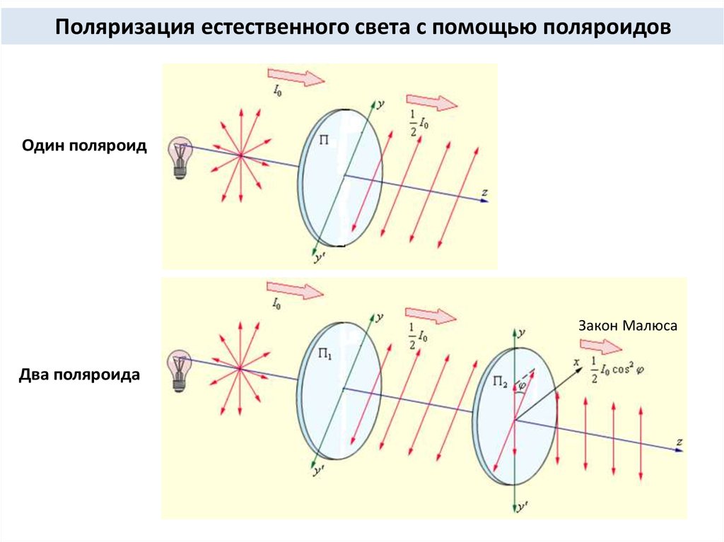 Пример поляризации. Поляризация света. Поляризация схема. Поляризация света физика. Схема поляризации естественного света.