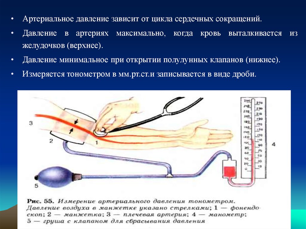 Тест измерение артериального давления