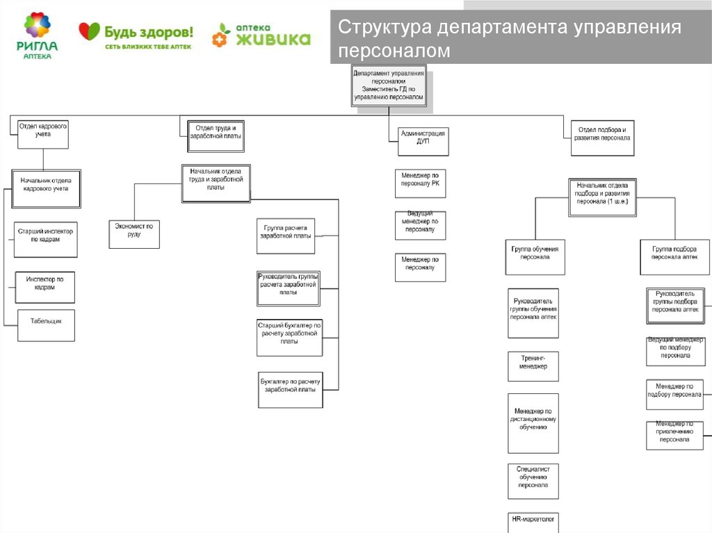 Структура департамента. Министерство Департамент управление отдел. Структура управления Министерства. Структура отдел лэндевелопмента.