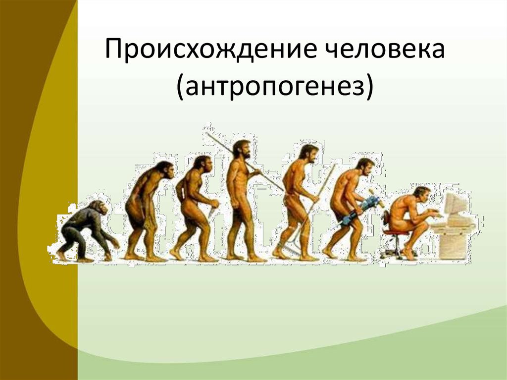 Появление человека. Происхождение человека. Возникновение человека. История происхождения человека. Происхождение человека дискуссионные вопросы.