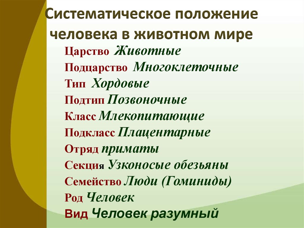 Систематическое положение человека. Систематическое положение человека в животном мире. Систематическое подоженние человкк.