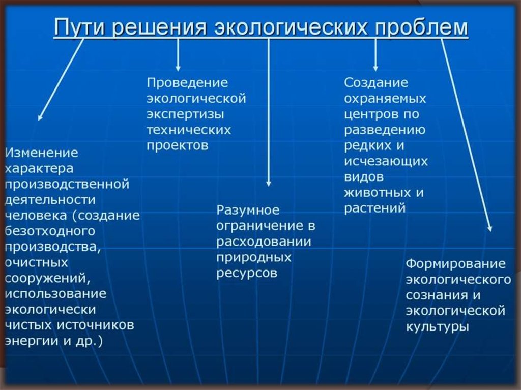 К каким последствиям привело бы осуществление этого проекта