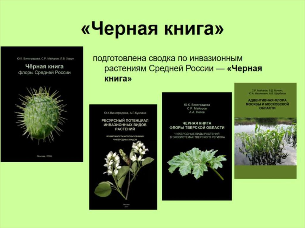 Красные страницы красной книги растения. Черная книга растений. Чёрные страницы красной книги растения. Черная книга растений России. Растения в чёрной книше.