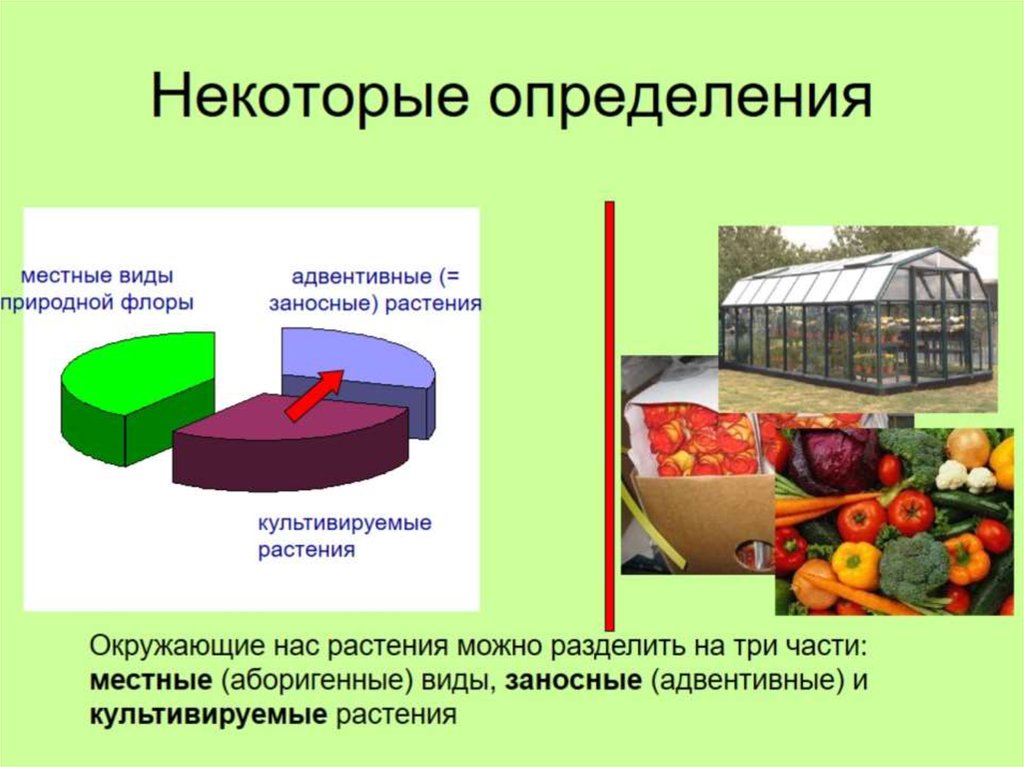 Некоторые определения