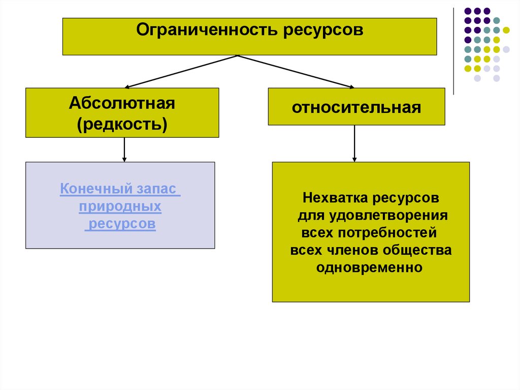 Виды редкости