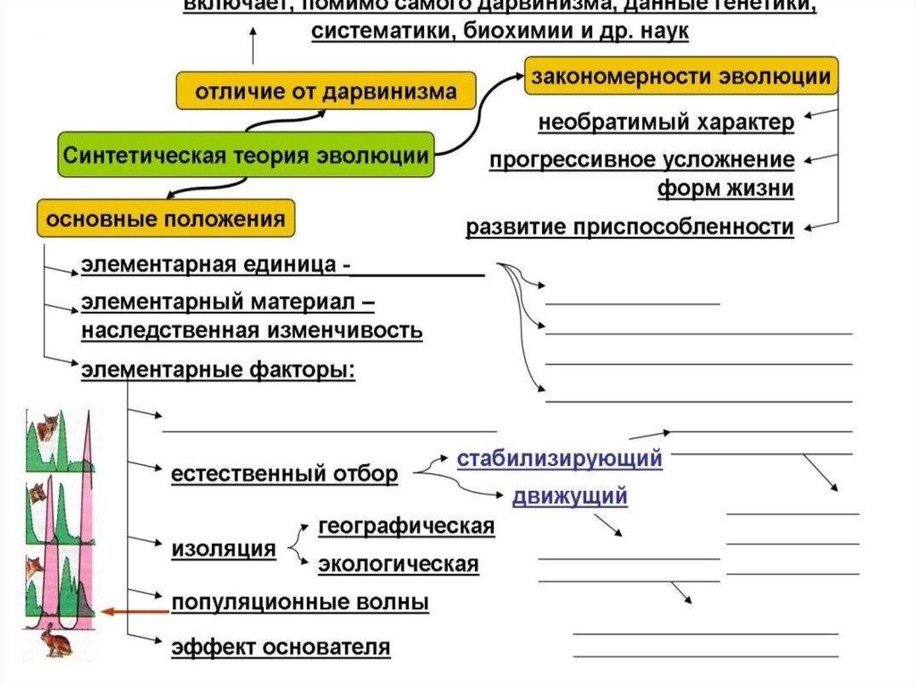 Логическая схема дарвинизма