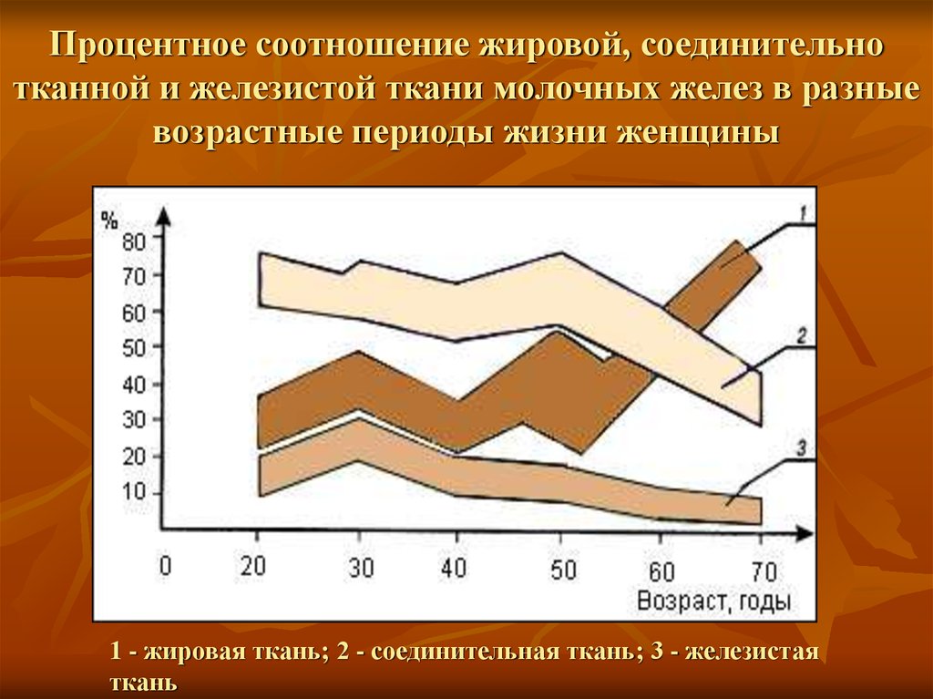 Возраст железа. Соотношение железистой и жировой ткани в молочной железе. Соотношение железистой и жировой ткани 2:1. Соотношение тканей в груди железистый жировой. Соотношение железистой и жировой 1:1.