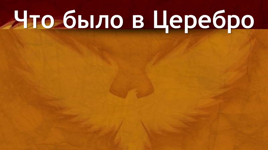 Что было в Церебро