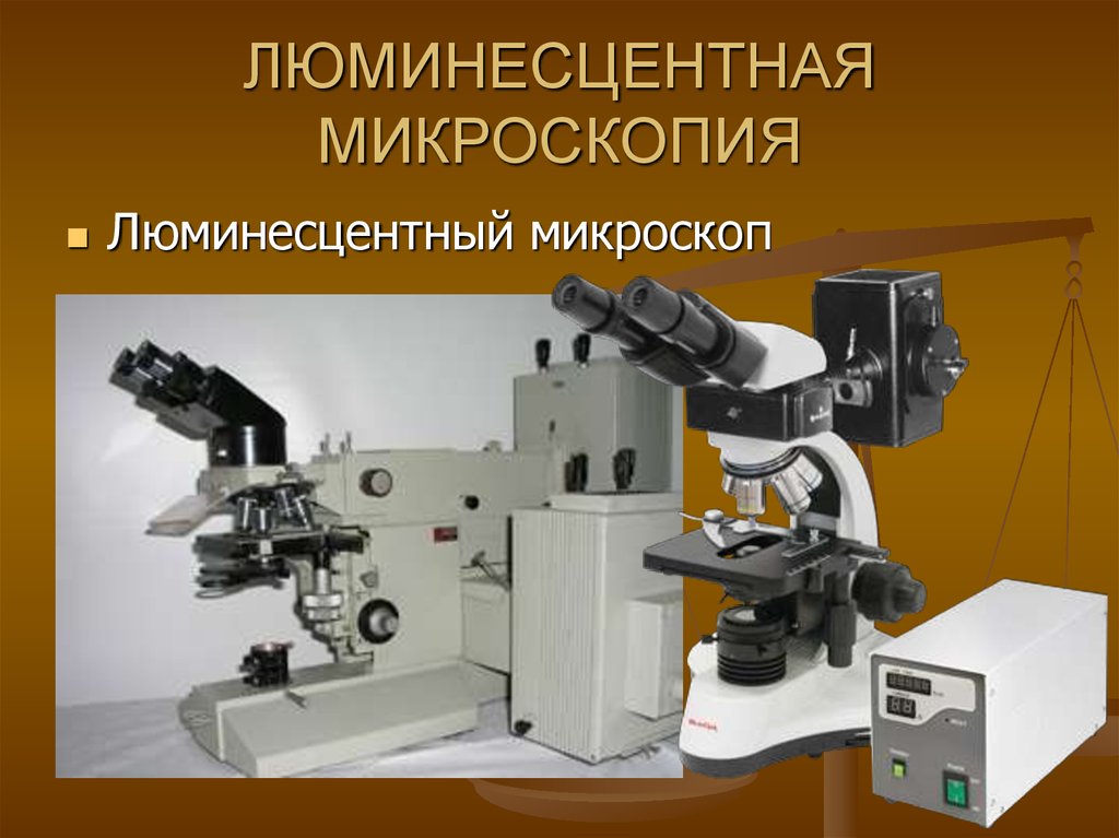 Люминесцентная микроскопия картинки