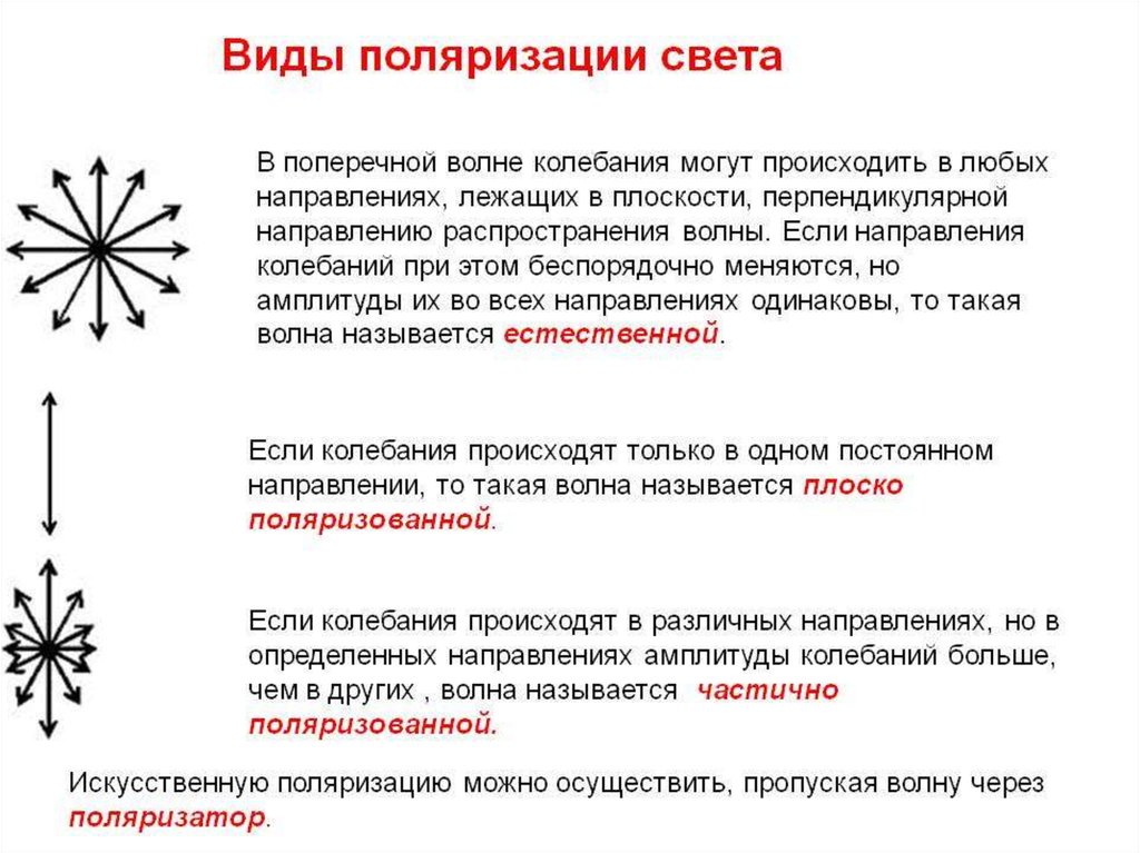 Виды светы. Поляризованный свет виды. Видны поляризованного света. Поляризация света. Виды поляризации.