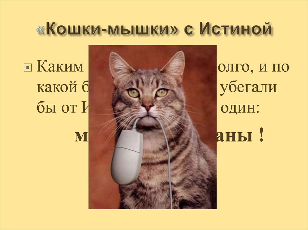 «Кошки-мышки» с Истиной