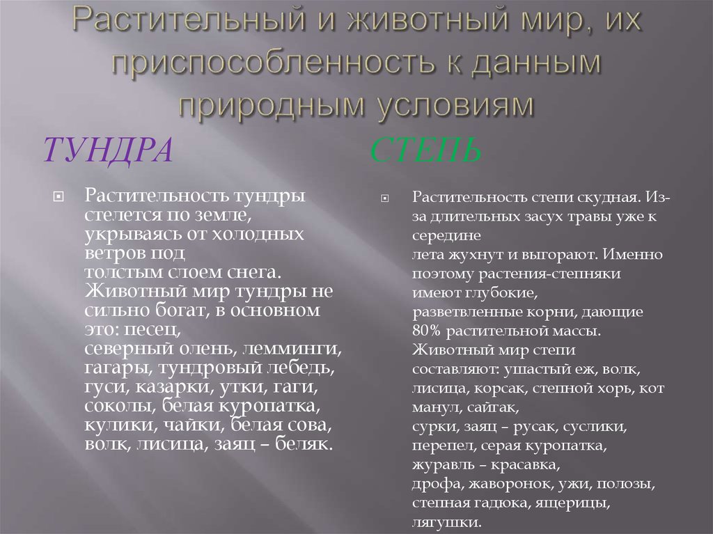 Таблица “Природные зоны России”