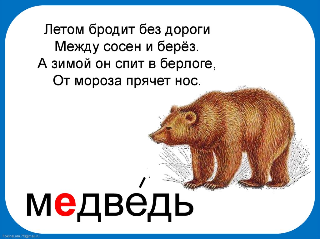 Анализ слова медведь