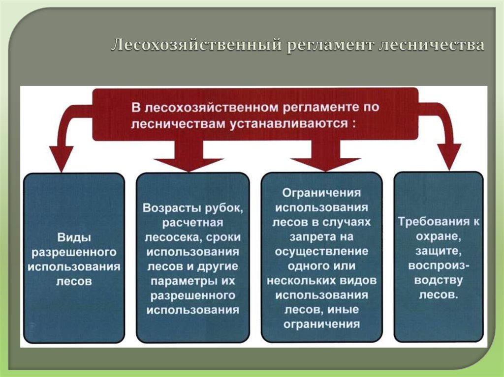 Лесохозяйственный регламент лесничества