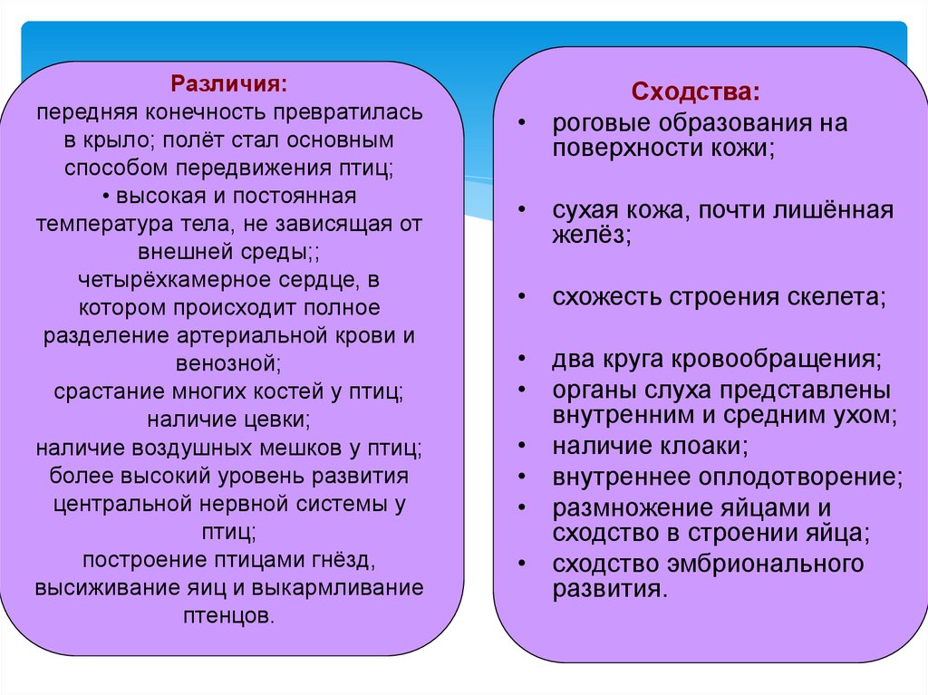 Различия птиц и млекопитающих. Мочеполовая система птиц.