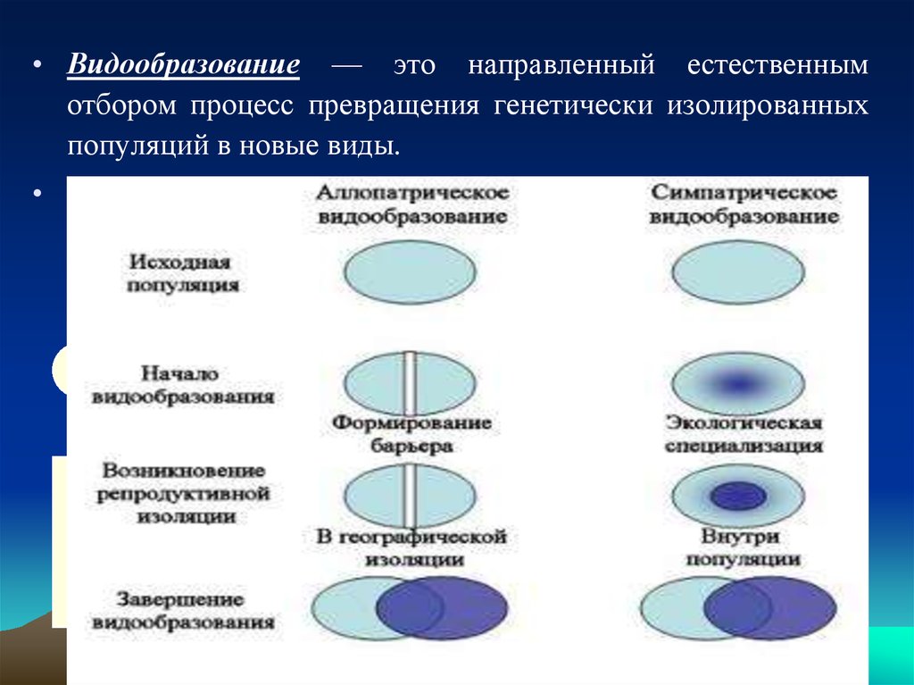 Форма видо. Механизмы видообразования. Виды изоляции популяций. Механизм географического видообразования. Типы видообразования.