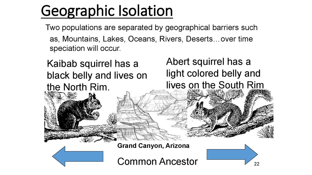 the-main-mechanisms-of-speciation-online-presentation