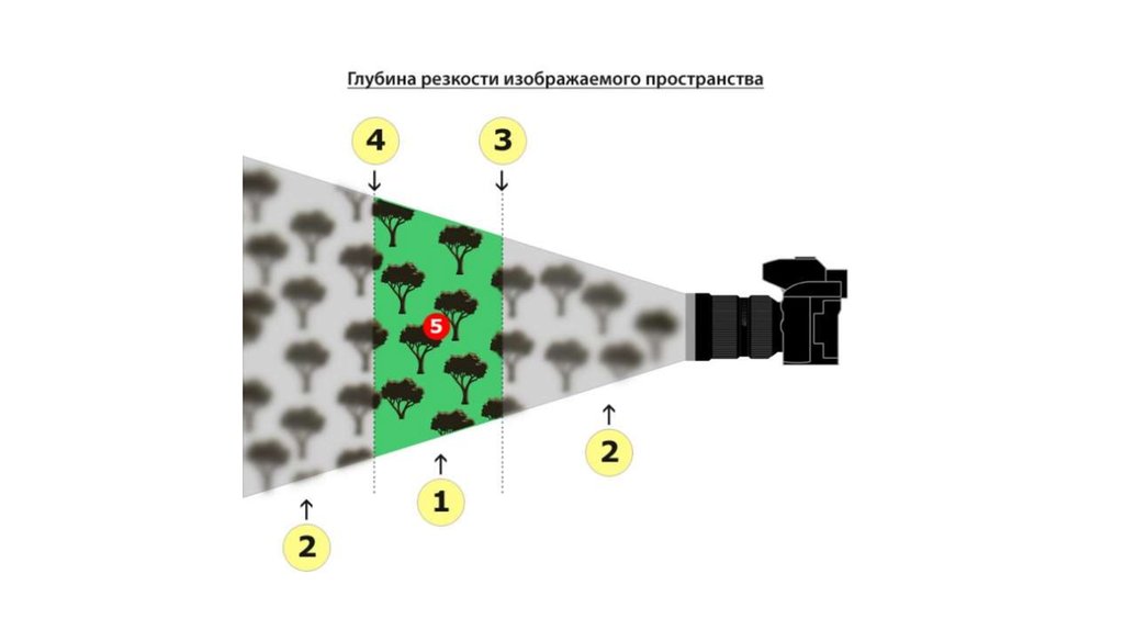 Глубина резкости в мире нет. Грип глубина резко изображаемого пространства. Глубина резкости. Грип глубина резкости. Глубина резкости объектива.