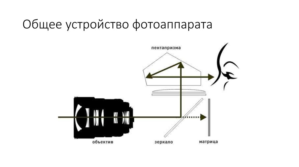 Механизм фотоаппарата 9 букв. Устройство камеры схема. Оптическая схема фотоаппарата физика. Устройство фотоаппарата схема. Устройство зеркального фотоаппарата.