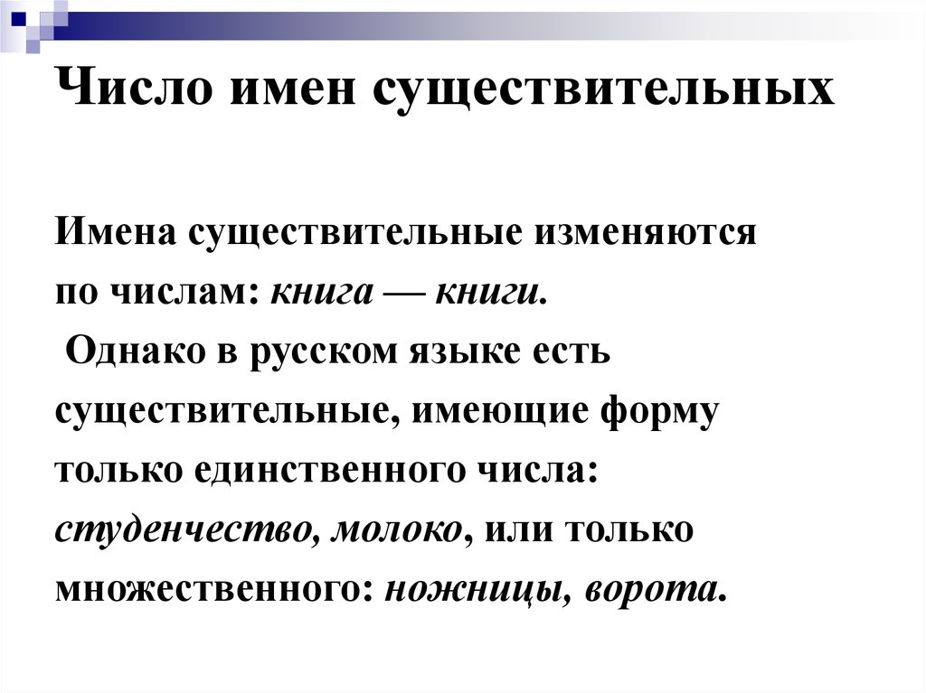 Число имен существительных 6 класс урок