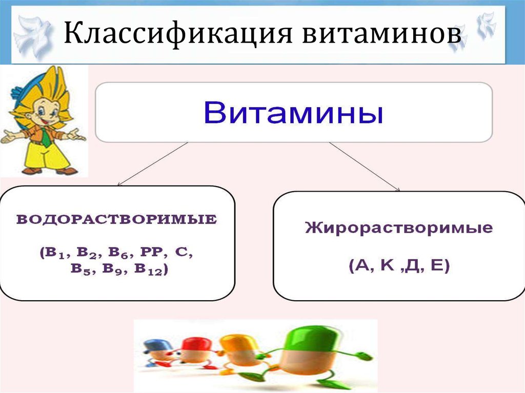 Классификация витаминов картинка