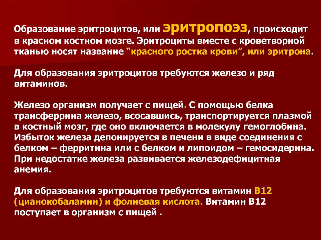 Что произошло в красном. Образование эритроцитов. Стадии образования эритроцитов. Этапы образования эритроцитов. Процесс созревания эритроцитов.