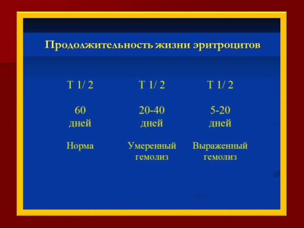 Продолжительность жизни эритроцитов. Длительность жизни эритроцитов. Продолжительность жизни эритроцитов человека. Продолжительность жизни кровяных клеток.