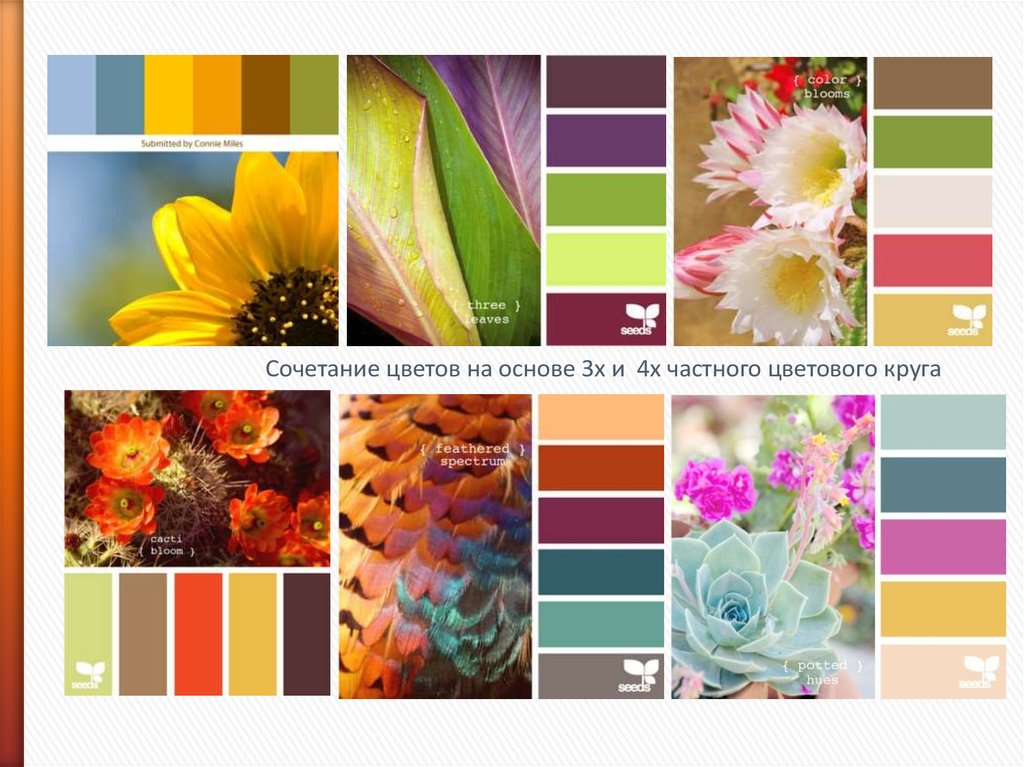 Подобрать фотографию по цвету. Цветовой круг сочетание цветов в интерьере. Сочетание цветов по цветовому кругу. Сочетание цветов в живописи. Сочетание 4 цветов.