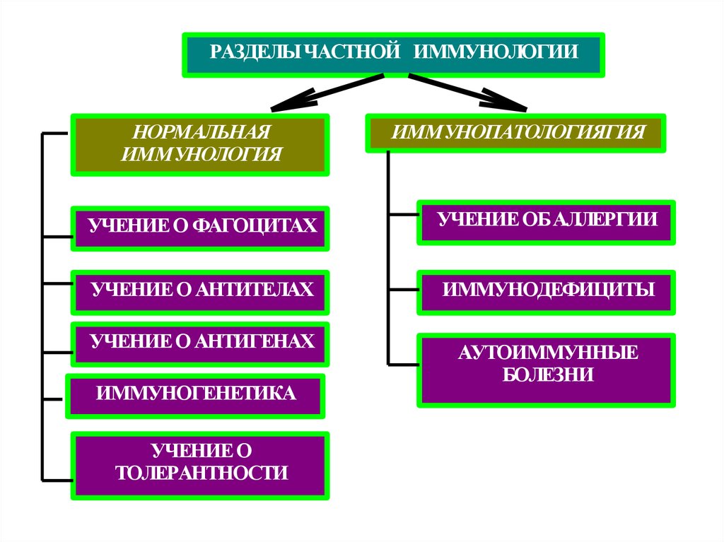 Характеристика активного