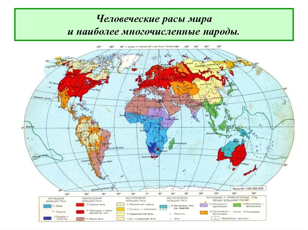 Карта народов земли. Карта народов в мире.