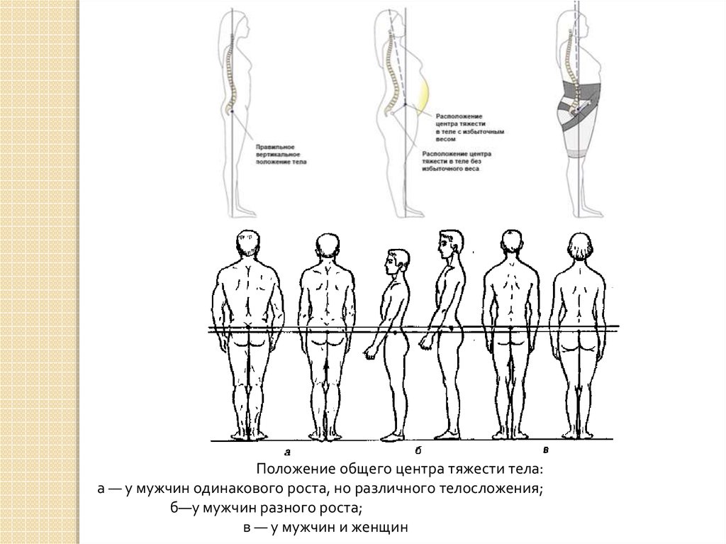 Где может находиться тяжести тела. Общий центр тяжести (оцт)человека. Центр тяжести тела человека биомеханика. Расположение центра тяжести у мужчин и женщин. Центр тяжести у мужчин.