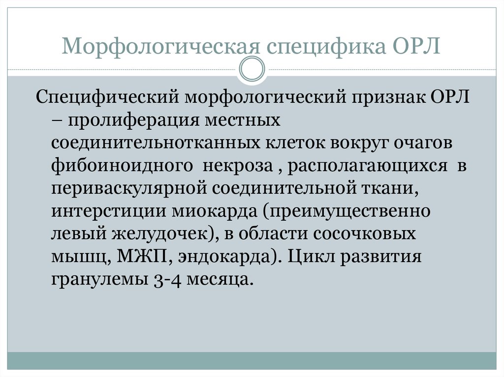 Орл нов