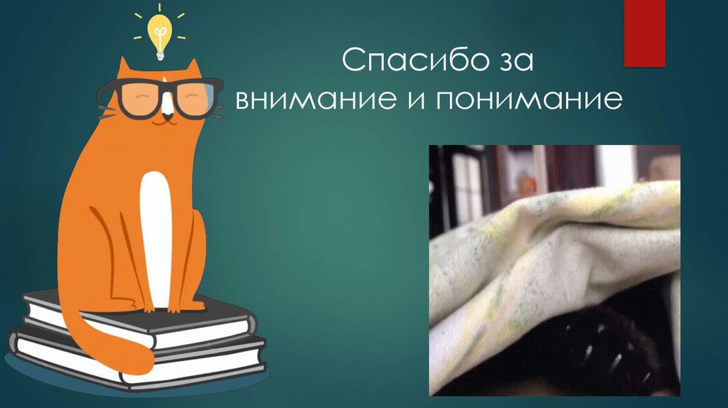 Cпасибо за внимание и понимание