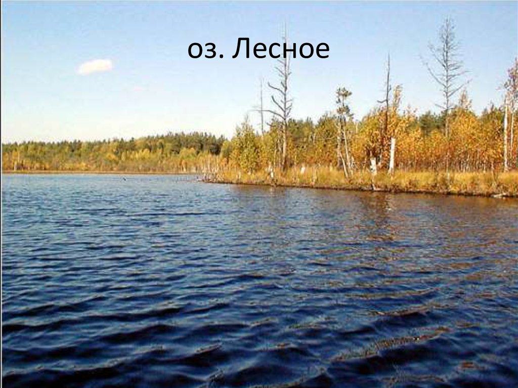 оз. Лесное