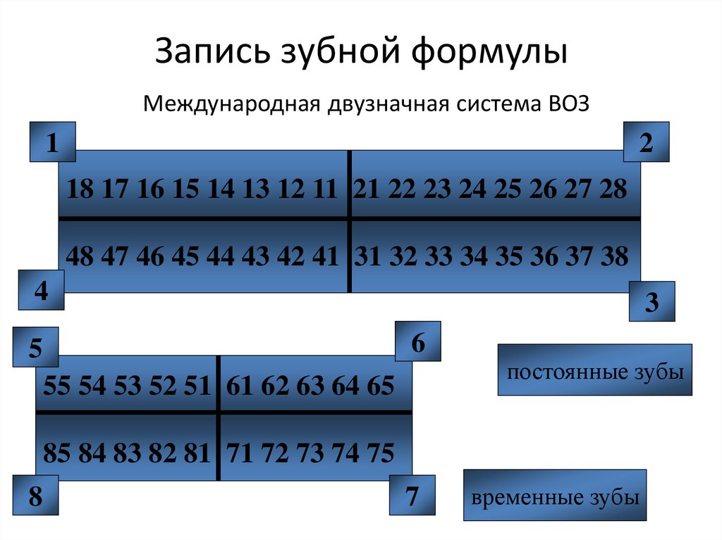 Цифровая нумерация. Зубная формула Международная система обозначения. Зубная формула по международной системе обозначения зубов. Международная двузначная система воз записи зубной формулы. Графико цифровая формула зубов.