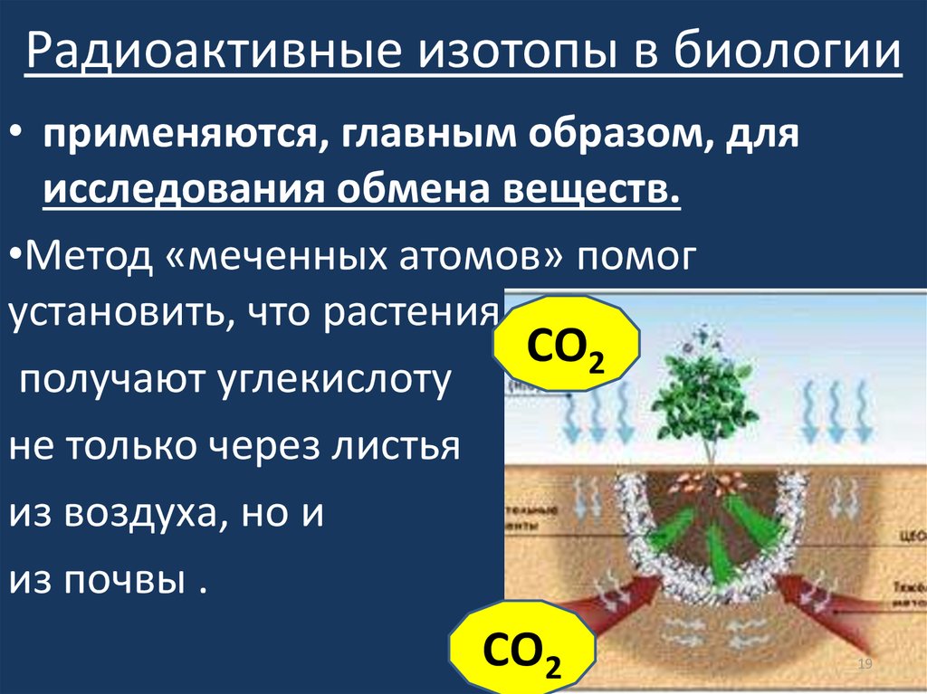 Радиоактивные изотопы доклад