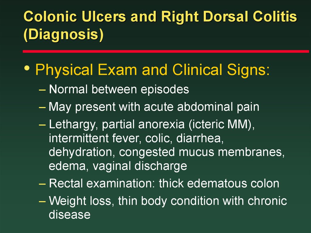 Colonic Ulcers and Right Dorsal Colitis (Diagnosis)