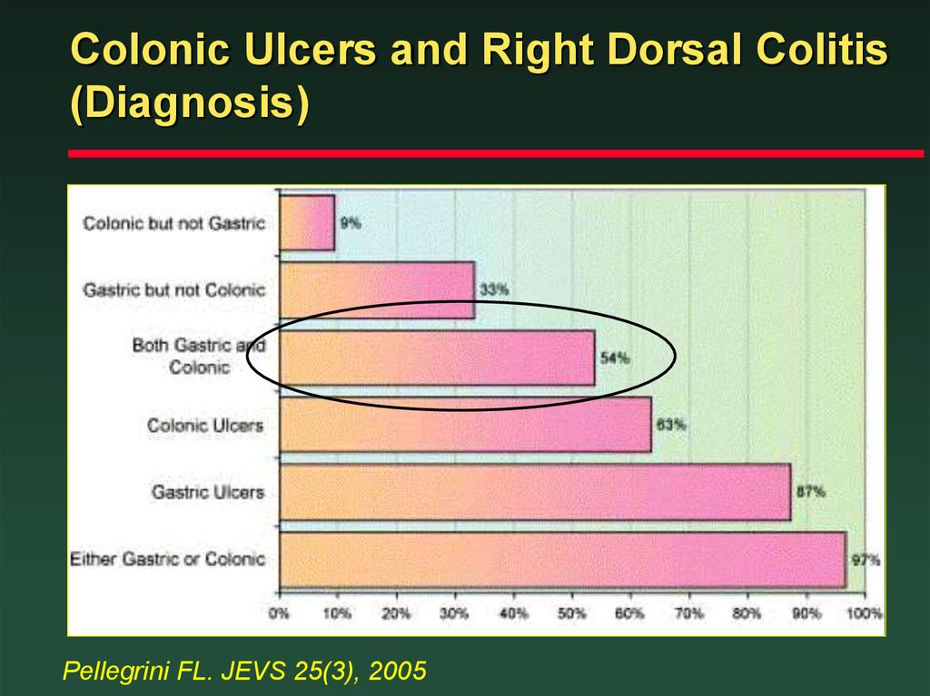Colonic Ulcers and Right Dorsal Colitis (Diagnosis)