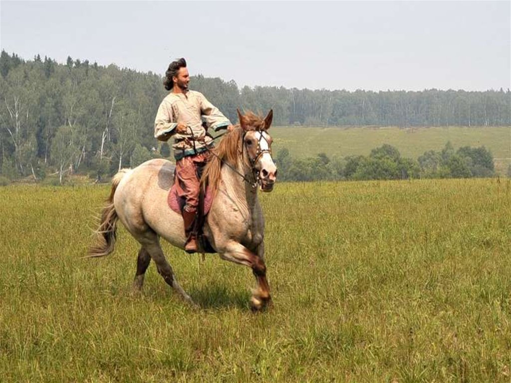 Едем едем на коне песня. Всадник на коне. Всадник скачет на лошади. Конь и всадник. Всадник с лошадью.