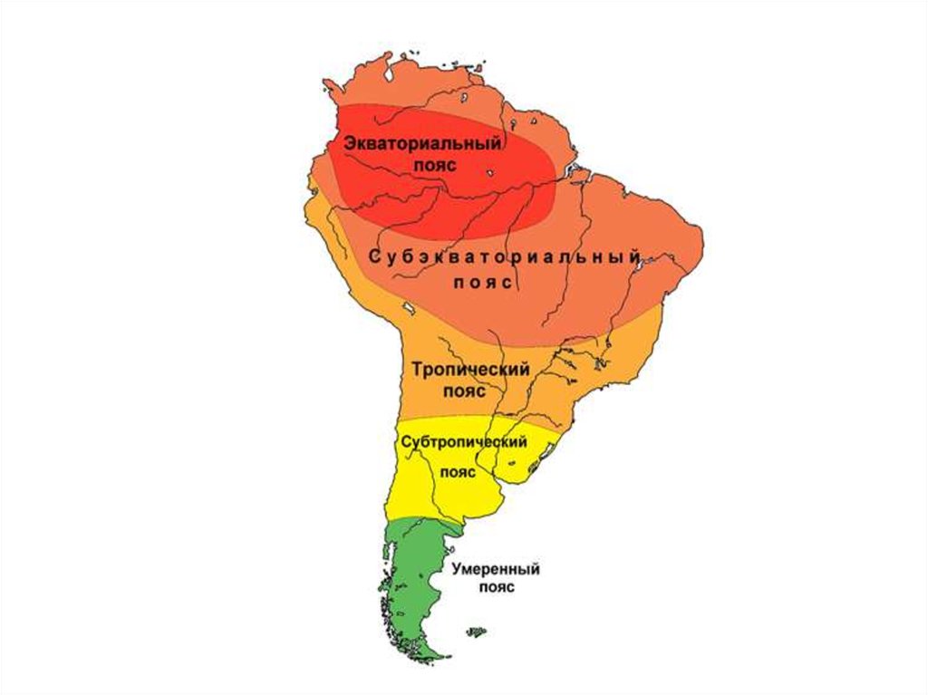 Бразилия особенности природных зон 7 класс