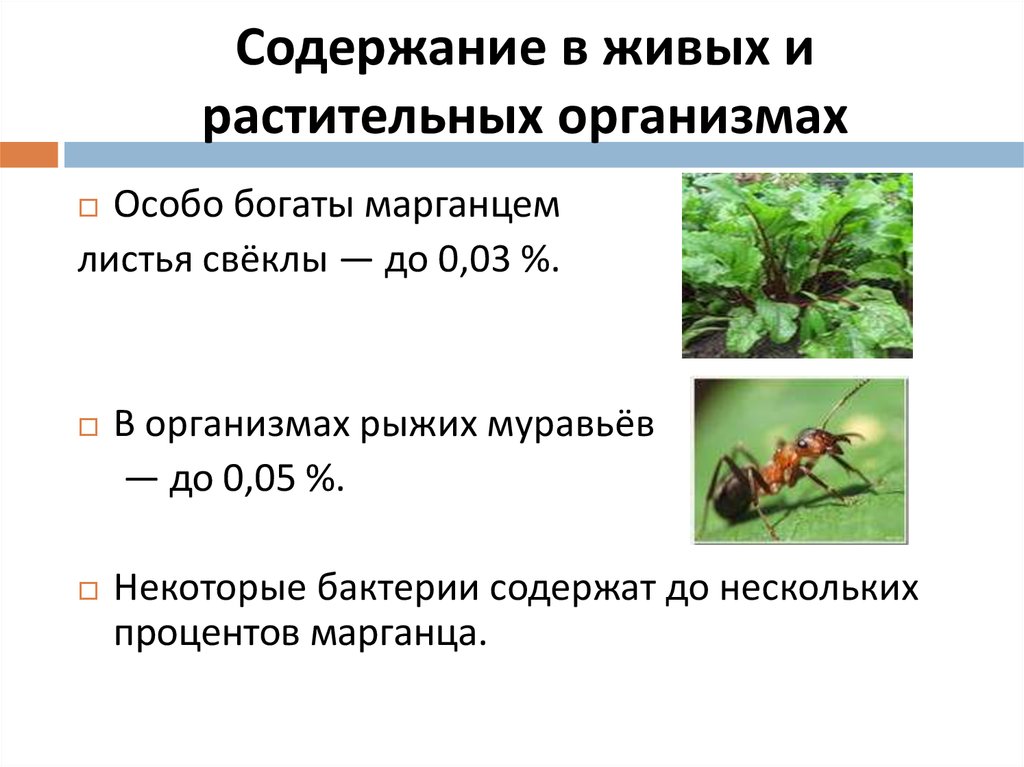 Презентация соединения марганца