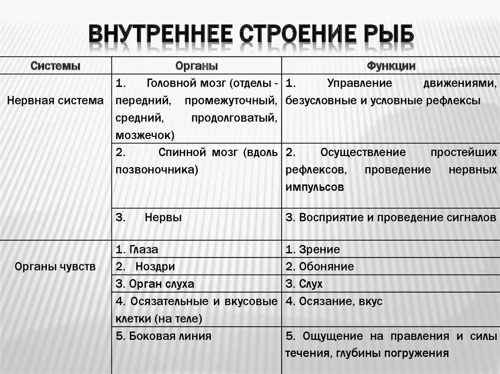 Особенности строения земноводных таблица 8 класс