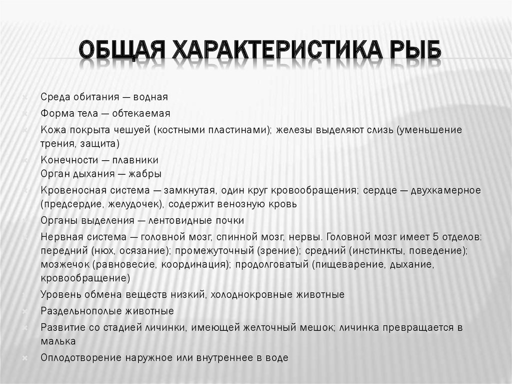 Особенности рыб. Класс рыбы общая характеристика. Общая характеристика классов рыб. Характеристика класса рыб. Общаяхарактиристика рыб.