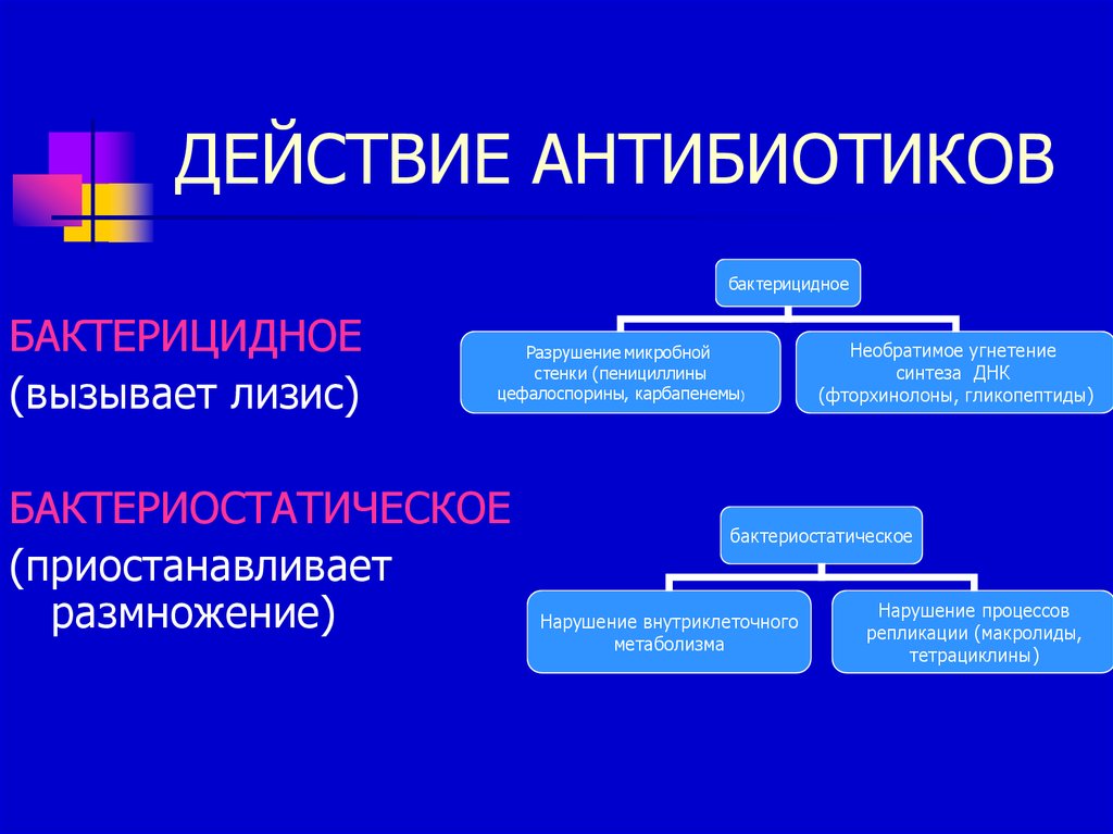 Схема действия антибиотиков