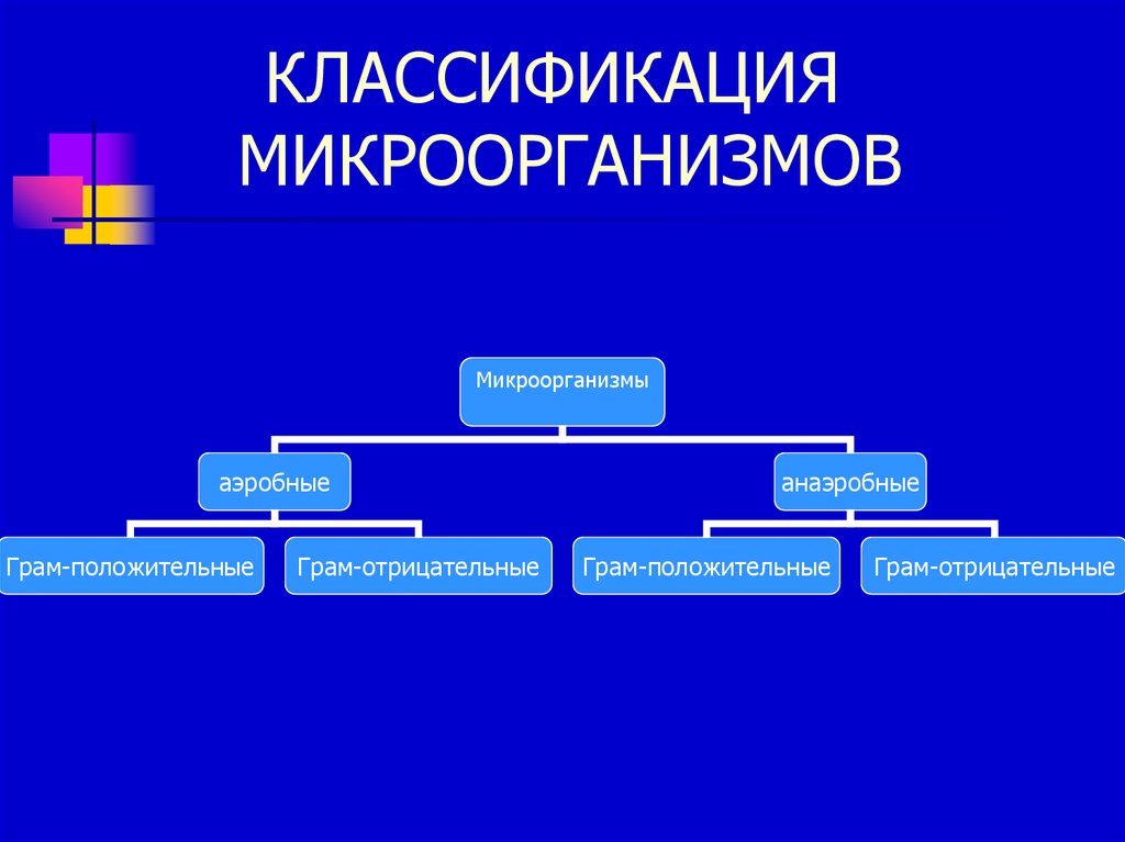 Классификация микроорганизмов. Схема классификация бактерий микробиология. Классификация бактерий микробиология кратко. Классификация микроорганизмов микробиология таблица. Систематика бактерий схема.