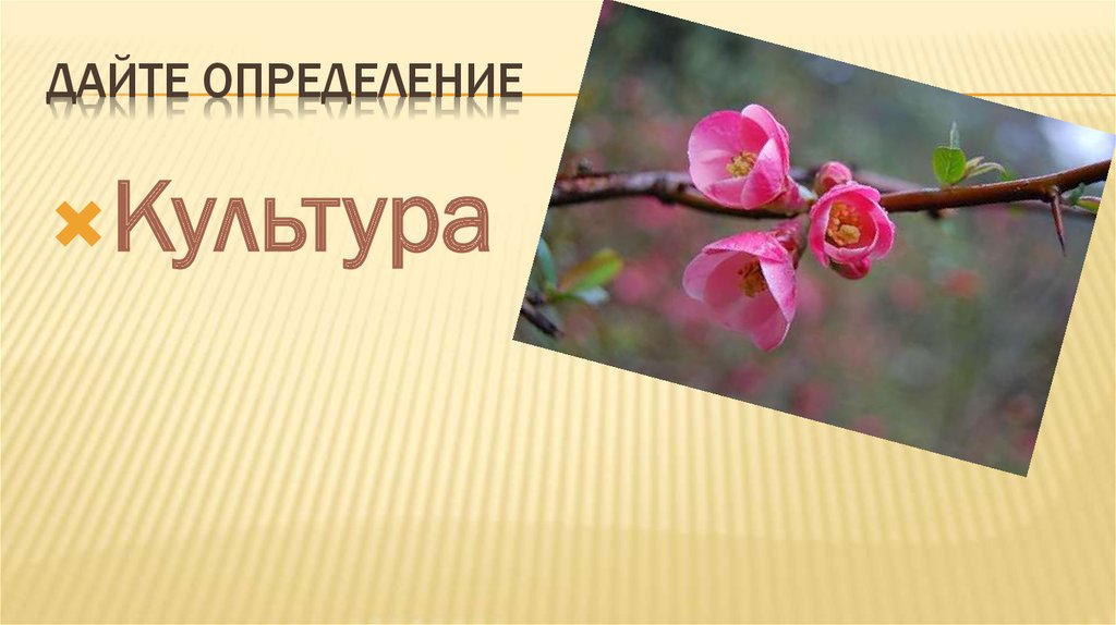 Дайте определение