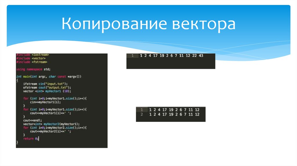 Копирование вектора