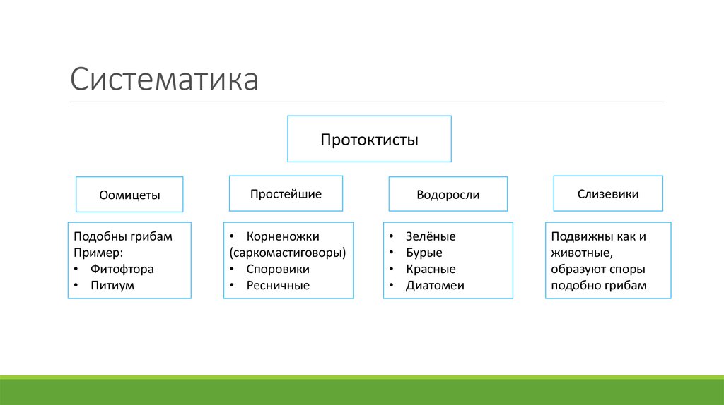 Презентация систематика 11 класс