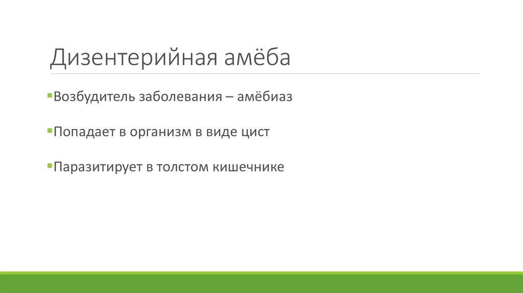 Дизентерийная амёба